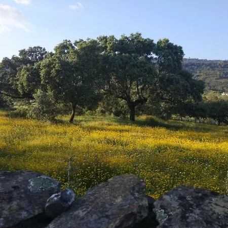 At La Catamusa Apartment Serradilla