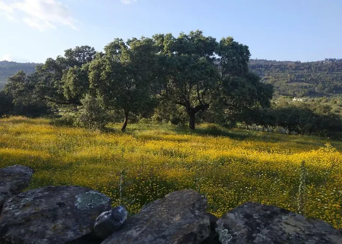 At La Catamusa Apartment Serradilla